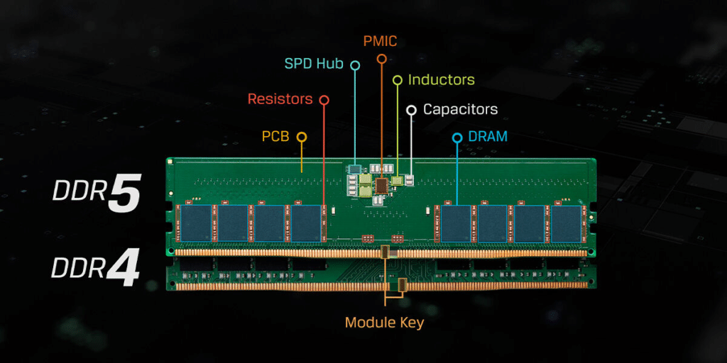 رم DDR5 استوکلند‌